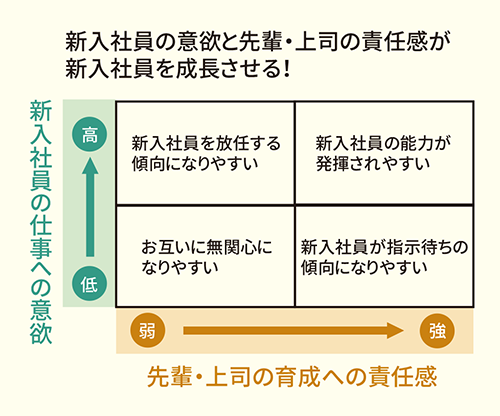 新入社員と先輩・上司の双方が学ぶことで、 会社に次のような効果が表れます